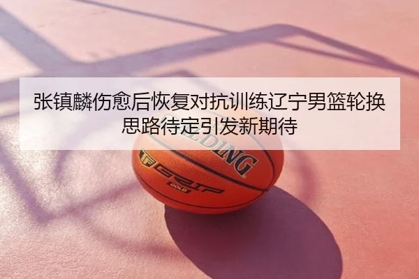 张镇麟伤愈后恢复对抗训练辽宁男篮轮换思路待定引发新期待